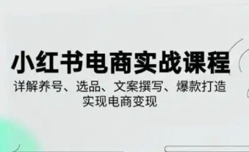 小红书从0-1实操课(2023-2025)，详解养号、选品、文案撰写、爆款打造实现电商变现-宇创网