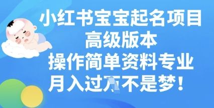 小红书宝宝起名项目高级版本，操作简单，资料专业，月入过W-宇创网