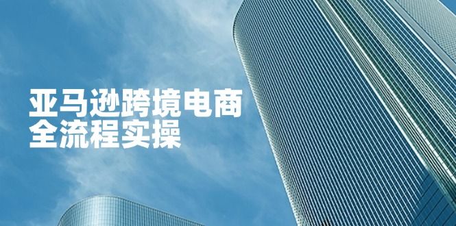 （14252期）亚马逊跨境电商全流程实操，教你从零开始，掌握店铺运营与广告技巧-宇创网