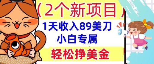 2个新项目，轻松挣美金， 1天收入89美刀，小白专属，干货分享-宇创网