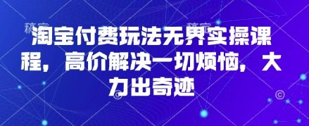 淘宝付费玩法无界实操课程，高价解决一切烦恼，大力出奇迹-宇创网