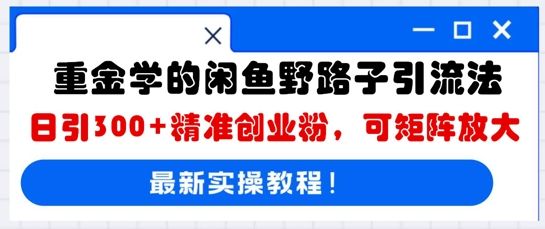 重金学的闲鱼野路子引流法，日引300+精准创业粉，可矩阵放大-宇创网