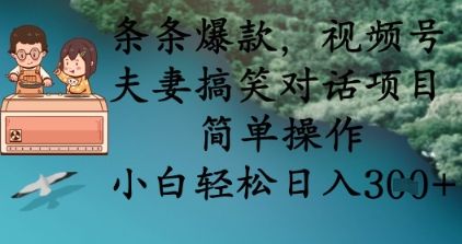 条条爆款，视频号夫妻搞笑对话项目，简单操作，小白轻松日入3张+-宇创网