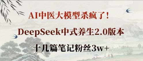 AI中医大模型杀疯了！DeepSeek中式养生2.0版本，十几篇笔记粉丝3w+-宇创网