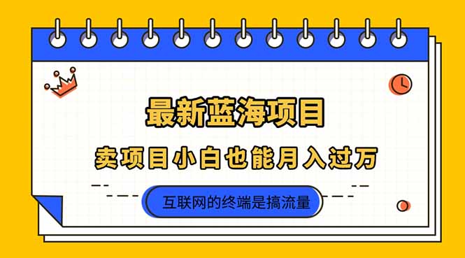 (14289期)2025年最新蓝海项目,卖项目小白也能月入过万-宇创网