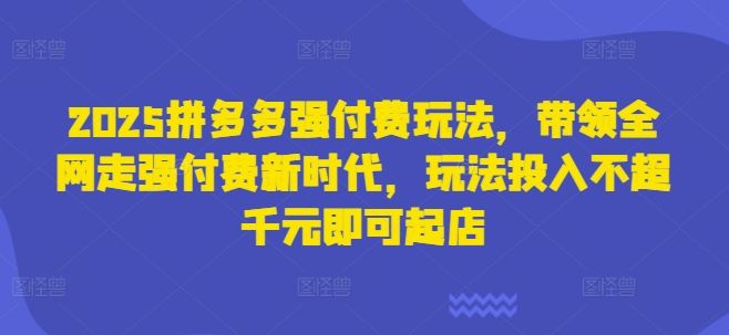 2025拼多多强付费玩法,带领全网走强付费新时代,玩法投入不超千元即可起店-宇创网