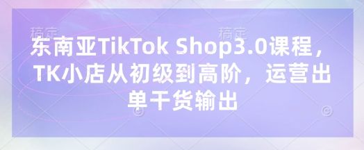 东南亚TikTok Shop3.0课程,TK小店从初级到高阶,运营出单干货输出-宇创网