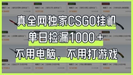 真全网独家CSGO挂G，单日捡漏1k+【揭秘】-宇创网