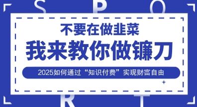 韭菜生涯终结者，我来教你做镰刀，2025如何通过“知识付费”实现财F自由【揭秘】-宇创网