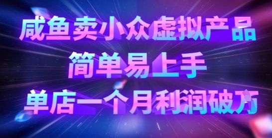 咸鱼卖小众虚拟产品,简单易上手,单店一个月利润破W-宇创网